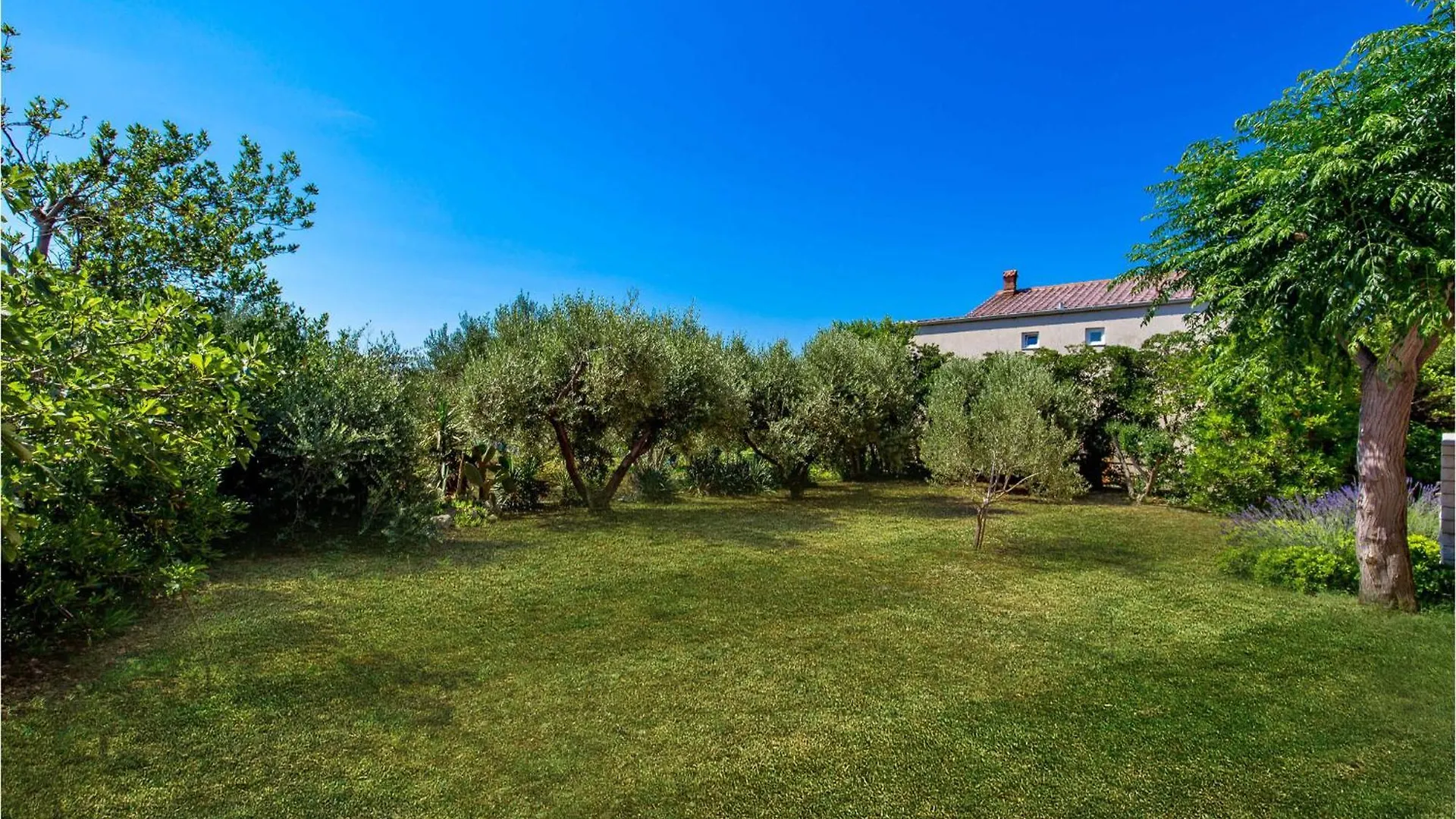 Gorgeous Apartment In Barbat With Wifi Barbat na Rabu Croatia